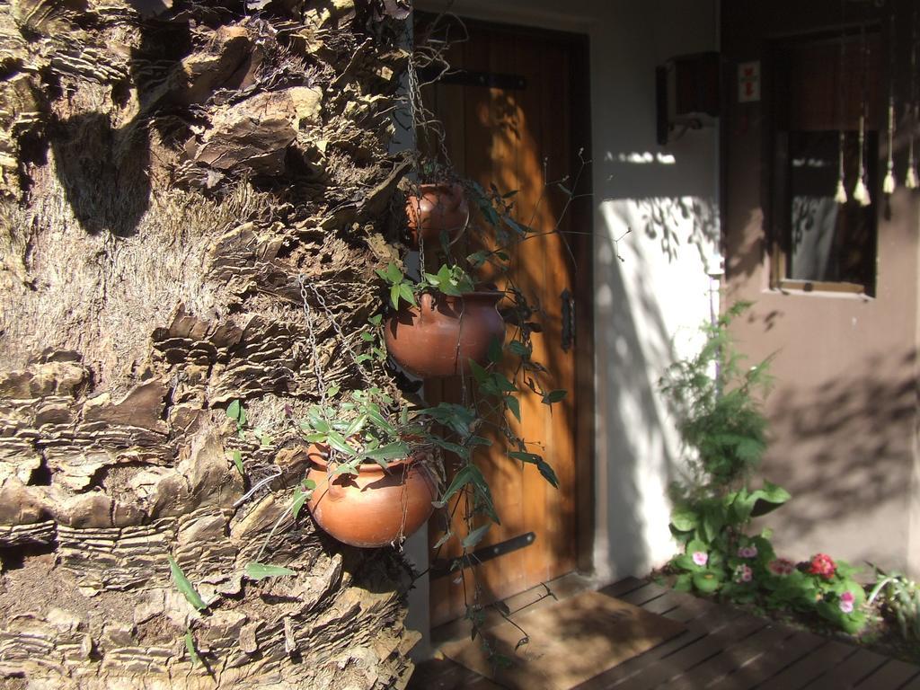Hosteria Pascana San Salvador de Jujuy Εξωτερικό φωτογραφία