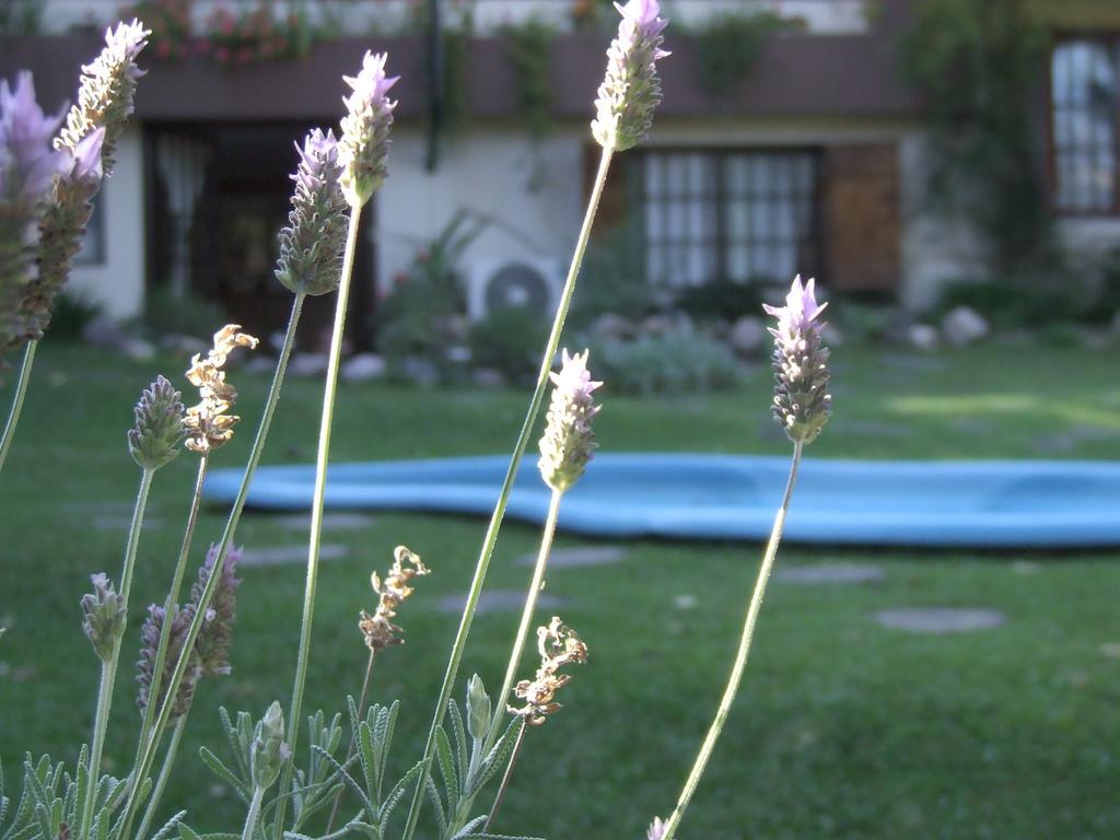 Hosteria Pascana San Salvador de Jujuy Εξωτερικό φωτογραφία
