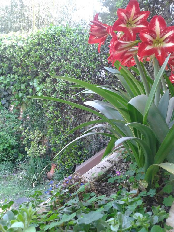 Hosteria Pascana San Salvador de Jujuy Εξωτερικό φωτογραφία