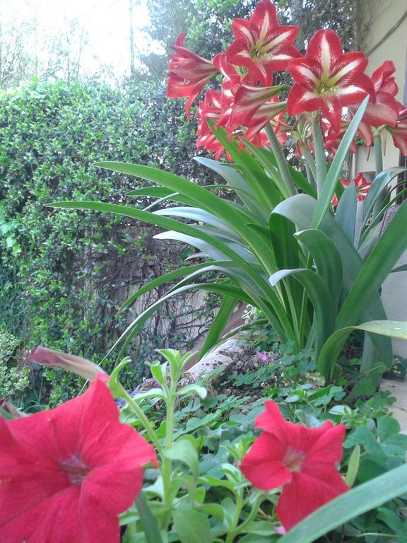 Hosteria Pascana San Salvador de Jujuy Εξωτερικό φωτογραφία