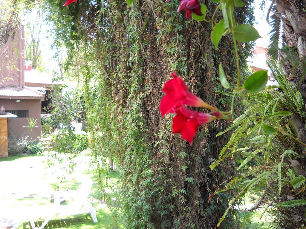 Hosteria Pascana San Salvador de Jujuy Εξωτερικό φωτογραφία